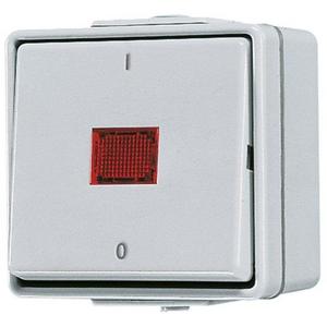 Installationsschalter - 602 KOW, Wipp-Kontrollschalter, Aus 2-pol.,  AX 250 V ~, IP 44, WG 600 - 602KOW