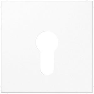 Abdeckung/Bedienelement für Installationsschalterprogramme - LS 925 WW, Abdeckung für Schlüsselschalter ohne Demontageschutz 1fach, Thermoplast, Serie LS, alpinweiß - LS925WW
