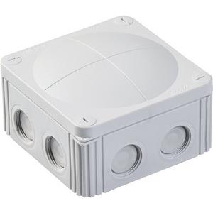 Dose, Gehäuse für Montage auf der Wand/Decke - HFRAK060 RAL7035, FR-Kabelabzweigkasten IP66, 110x110x66 mm (Preis per 100) - 10100641