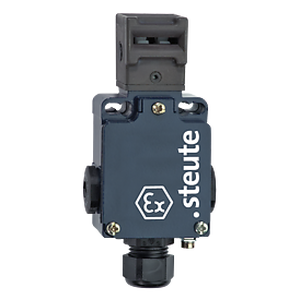 Positionsschalter mit getrenntem Betätiger - EEx 355 AZ 2Ö  ATEX IECEx, Sicherheitsschalter mit getrenntem Betätiger - 1180261