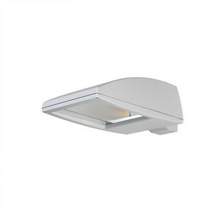 Straßen- und Platzleuchte - LED-Flächenstrahler 2 x 79W asymmetrisch, Fluxa BG LED, asymmetrisch strahlend - 8289155040