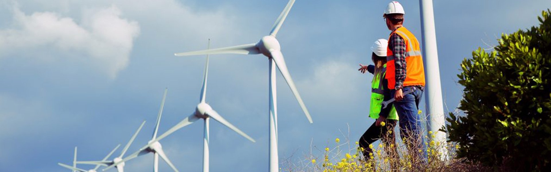 ESG bei Rexel - Windräder
