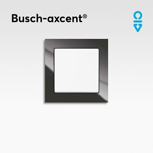 Ontdek het uitgebreide assortiment Busch-axcent schakelmateriaal van ABB Busch-Jaeger