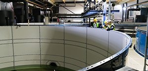 Het megaproject bij Kingfish zeeland.