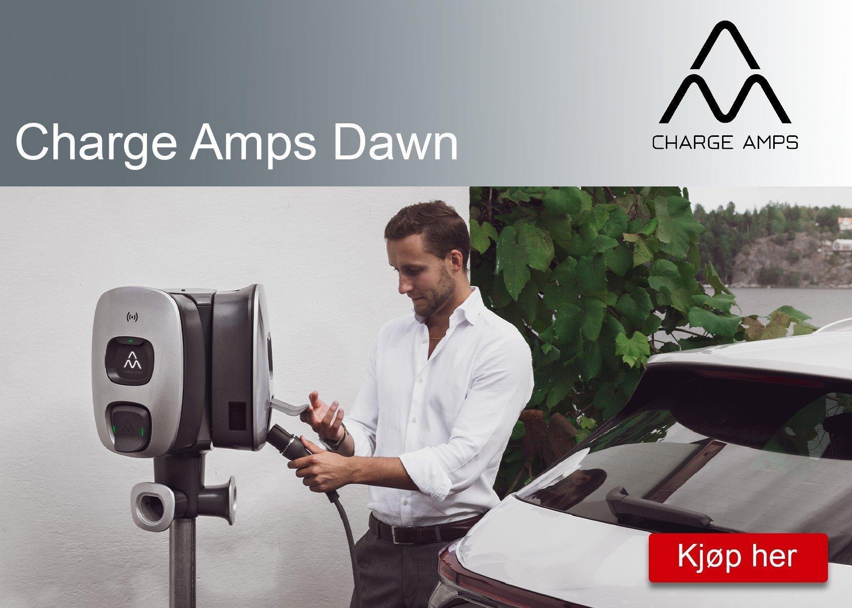 Charge Amps Dawn
