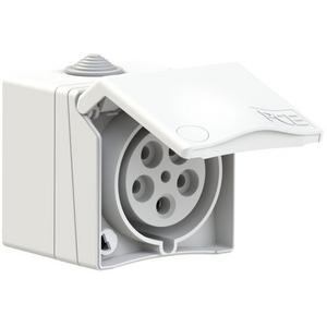 CEE-Steckdose - CEE Aufputzsteckdose 5p 32A 400V - 875-6V