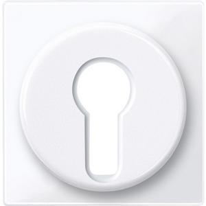 Abdeckung für Schalter, Taster, Dimmer, Jalousie - Zentralplatte für Wechsel-Rastschalter antibakteriell - 319525