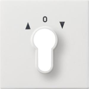 Abdeckung für Schalter, Taster, Dimmer, Jalousie - Abdeckung Schlüsselschalter für Flächenschalter reinweiß - 0664112