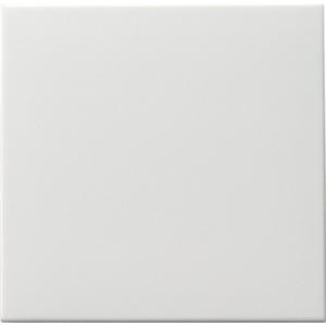 Abdeckung für Schalter, Taster, Dimmer, Jalousie - Wippe Tastschalter Wechsel System 55 reinweiß matt - 091627