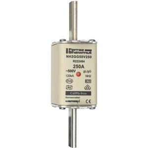 NH-Sicherungseinsatz - NH-Sicherung gG Gr.2 500VAC/250VDC 125A mit spannungsführenden Grifflaschen - T215688