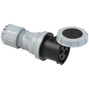 CEE-Kupplung - Kupplung 125A 4p 7h IP67 TWIST - 244-7