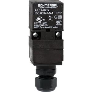 Positionsschalter mit getrenntem Betätiger - Sicherheitsschalter mit getrenntem Betätiger Kunststoff kleine Bauform - 101121960