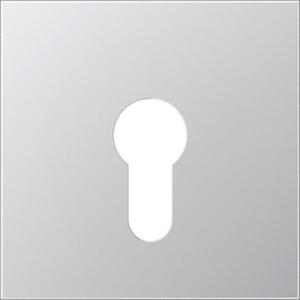 Abdeckung für Schalter, Taster, Dimmer, Jalousie - Abdeckung für Schlüsselschalter 104.15 134.15 133.15 und 106.15 - AL2925