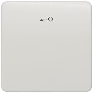 Abdeckung für Schalter, Taster, Dimmer, Jalousie - DELTA profil titanweiß Wippe mit Symbol Türöffner - 5TG7808