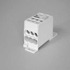 Installationskleinverteiler - Kompaktverteiler 1-polig 125A grau - K00 AUX38041