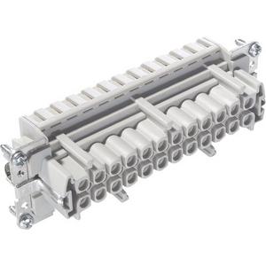 Kontakteinsatz für Industriesteckverbinder - Einsatz für Industriesteckverbinder mit Klemmfeder Buchse 24-polig - 10401300