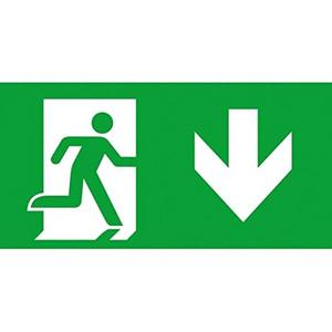 Piktogramm und Zubehör - LED Piktogrammscheibe 1-seitig PU ISO 7010 Pfeil unten - 40071354532