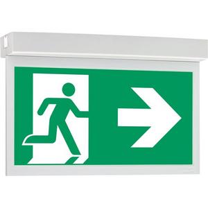 Sicherheitsleuchte - LED Sicherheitsleuchte CGLine zweiseitig Erkennungsweite 30 m - 40071353271