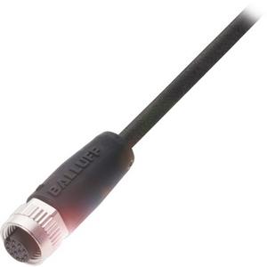 Konfektioniertes Sensor-Aktor-Kabel - Steckverbinder M12 Buchse 12-polig freies Leitungsende PUR schwarz 10 m - BCC06UM