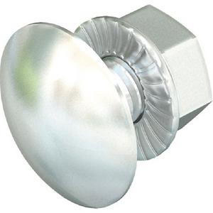 Flachrundschraube mit Vierkantansatz - Flachrundschraube mit Kombimutter M6x20 V2A A2 - 6406205