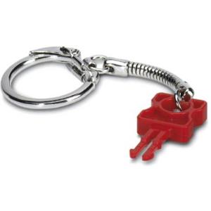 Kodierung für Datentechnik - Schlüssel Patch Guard Key - 2891521