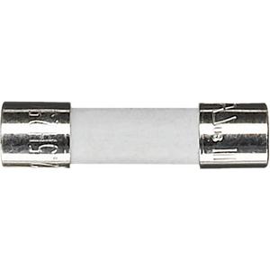 Feinsicherung - Ersatz-Sicherung für Halogen- und Halogen-Superdimmer 500 VA - 551192