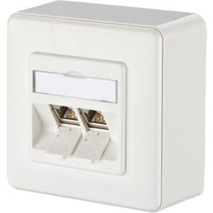 Kommunikationsanschlussdose Kupfer - Kommunikationsanschlussdose E-DAT modul 2 Port AP Kat.6A reinweiß - 1309120002-E