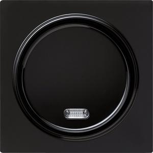 Taster - Wipptaster 42V Kontroll für S-Color schwarz - 015347