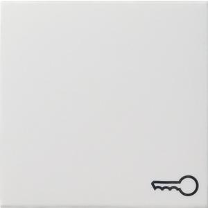 Abdeckung für Schalter, Taster, Dimmer, Jalousie - Wippe Symbol Schlüssel System 55 reinweiß matt - 028727