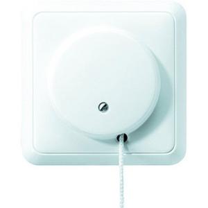 Installationsschalter - Zugschalter 10 AX 250 V ~ Aus-Wechsel für Wand- und Deckenmontage - 5506ZUWW