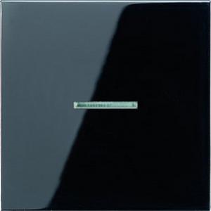 Abdeckung für Schalter, Taster, Dimmer, Jalousie - Wippe Linse Lichtleiter für Wipp-Kontrollschalter BA 1-fach schwarz - LS990KO5SW