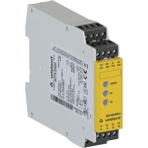 Gerät zur Überwachung von sicherheitsgerichteten Stromkreisen - Überwachungsrelais 24 V DC - R1.188.3580.0