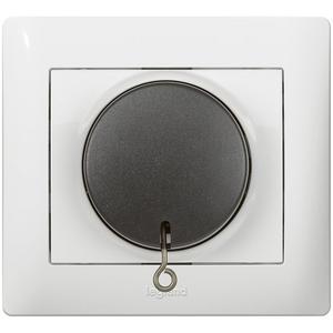 Taster - Einsatz Zugtaster Wechsler 1-polig 10A/250V~ - 775819