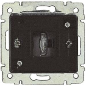 Installationsschalter - Einsatz Hotel-Card-System 10A/250V~ beleuchtet - 775954