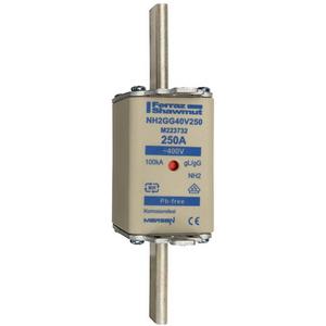 NH-Sicherungseinsatz - NH-Sicherung gG Gr.2 400VAC 100A mit spannungsführenden Grifflaschen - G223727