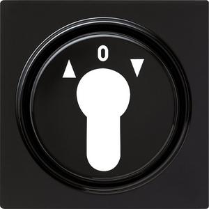 Abdeckung für Schalter, Taster, Dimmer, Jalousie - Abdeckung Schlüsselschalter für S-Color schwarz - 066447