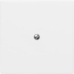 Abdeckung für Schalter, Taster, Dimmer, Jalousie - Blindzentralscheibe mit Tragring alpinweiß - Allwetter 44 (IP44) - 2CKA001710A1852