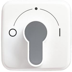 Abdeckung für Schalter, Taster, Dimmer, Jalousie - Zentralscheibe mit Schlüsselschalter für Jalousie alpinweiß - Reflex SI - 2CKA001710A1456