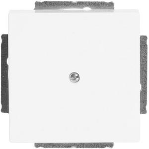 Kommunikationstechnik - Zentralscheibe Blindabdeckung mit Tragring studioweiß - Plattform 63 - 2CKA001710A3161