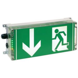 Ex-Notleuchten - Ex-Rettungszeichenleuchte EXIT N mit gesiebter Haube PL 12191030002 - 12191030002