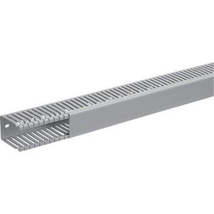 Verdrahtungskanal - Verdrahtungskanal 60 x 40 mm grau BA6 - BA66004007030B