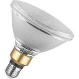 LED E27 Lampen