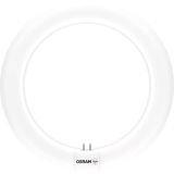 LED Röhren Sonderform