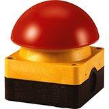 Grobhandtaster (Fußtaster)