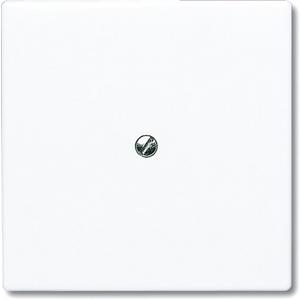 Abdeckung für Schalter, Taster, Dimmer, Jalousie - Abdeckung Blind Allwetter 44 - 2CKA001710A1852