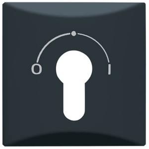 Abdeckung für Schalter, Taster, Dimmer, Jalousie - Zentralscheibe mit Schlüsselschalter für Jalousie anthrazit - Allwetter 44(IP44) - 2CKA001710A1902