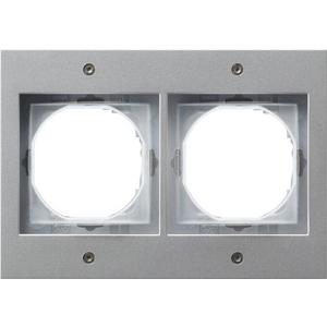 Abdeckrahmen - 2-fach Abdeckrahmen für TX_44 (WG UP) Farbe Aluminium - 021265