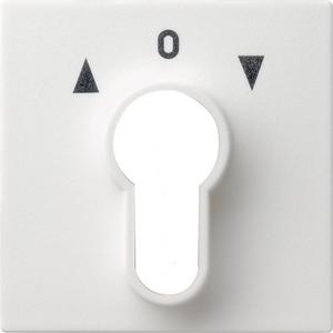 Abdeckung für Schalter, Taster, Dimmer, Jalousie - Abdeckung Schlüsselschalter für System 55 reinweiß - 066403