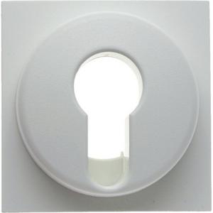 Abdeckung für Schalter, Taster, Dimmer, Jalousie - Zentralstück für Schlüsselschalter/-taster S.1/B.1/B.3/B.7 Glas - 15071909