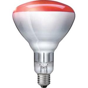 Sonderlampe - IR-Reflektorlampe BR125 IR 250 W E27 230-250 V - 871150057521025